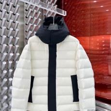 Zegna Down Jackets